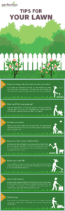 Lawn Care Infographic