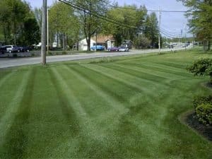 Lawn Mowing- Perfection Lawn Care